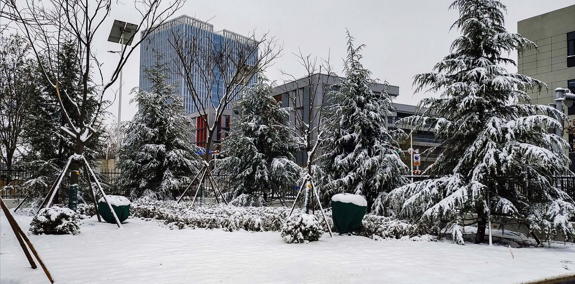 雷德数控新厂区景观设计工程