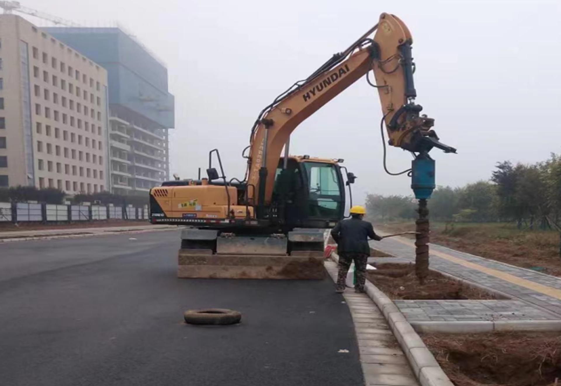 “一路一花， 一街一景” 泾河新城示范道路绿化景观项目