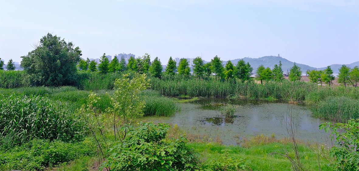 黄冈市黄州城区长江岸线综合治理工程