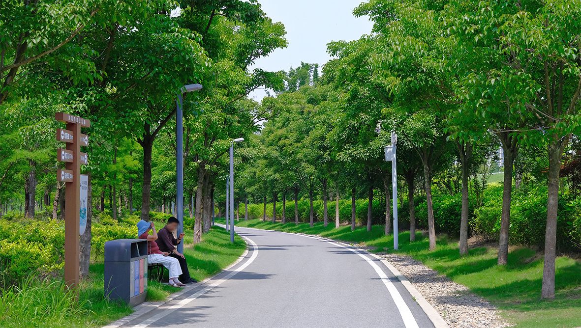 黄冈市黄州城区长江岸线综合治理工程