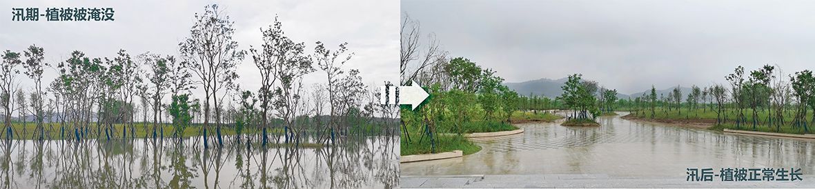 黄冈市黄州城区长江岸线综合治理工程