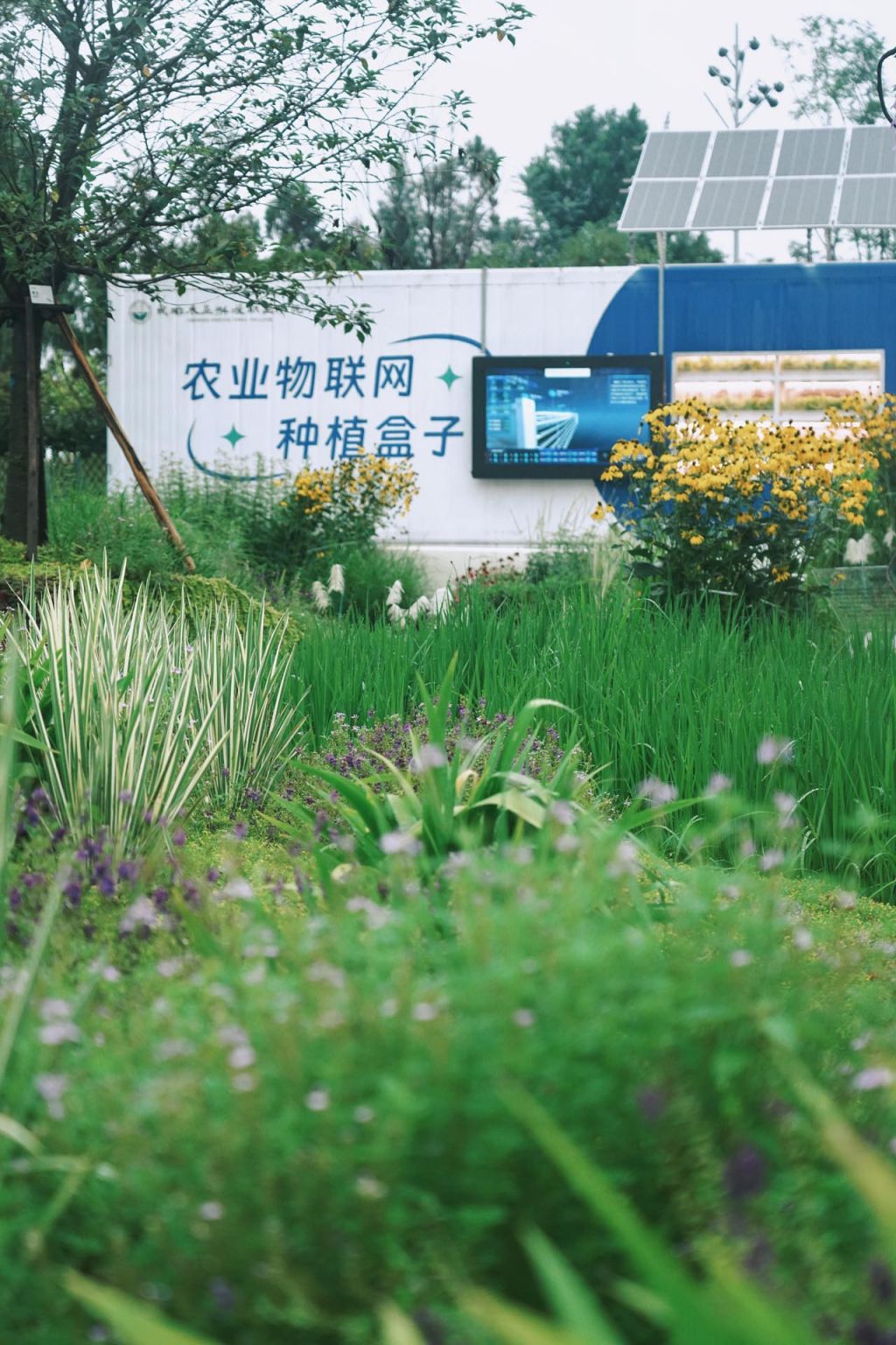 成都世园会·耕读畅想园(成都农业科技职业学院展园)